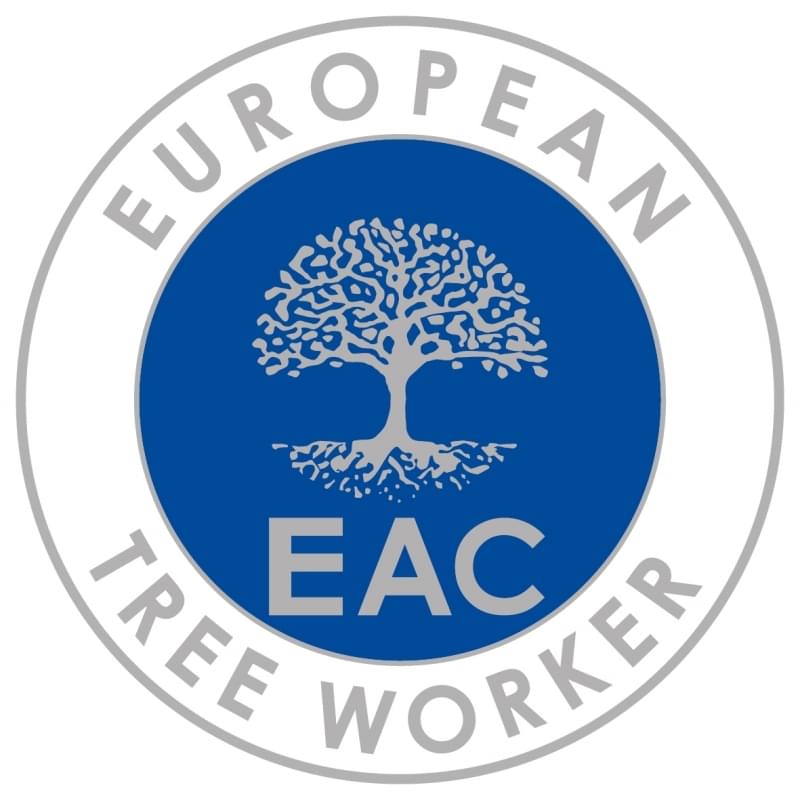 European tree worker in Offenbach